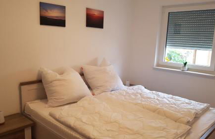 Naturferienhof Märkisch Luch - Trapphenne - Foto 12