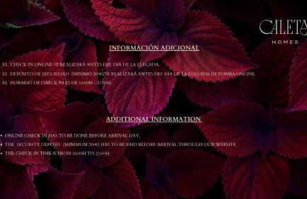 Caleta Homes - Ancha del Carmen - Photo 8