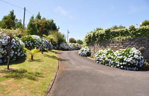 Luxury VILLA CAMÉLIA. Mountains, golf, horses, levada walks. - Foto 38