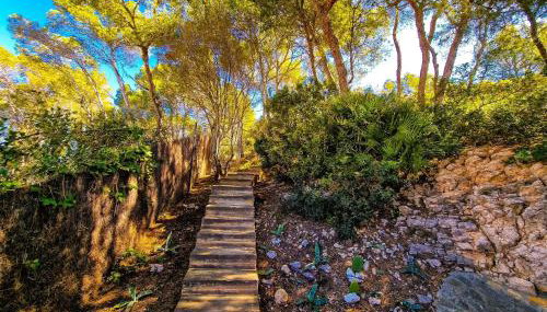 Villa Cala Llamp - Foto 2