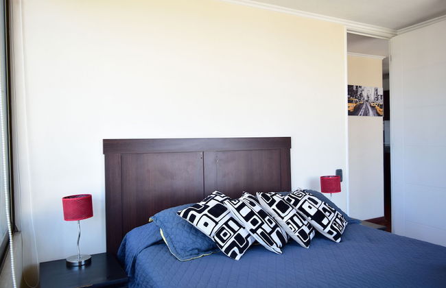 Santiago Furnished Apartments - Foto 14