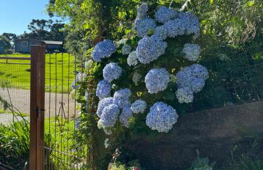 Recanto DOIS Pinheiros RS - Foto 12