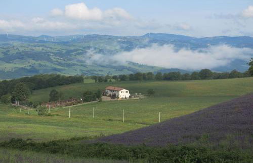 Agriturismo Il Riccio - Foto 10