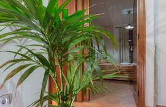 Casa Rural La Fuente - Foto 32