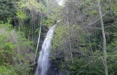 Montagne Noire Apartment Saissac - Foto 13