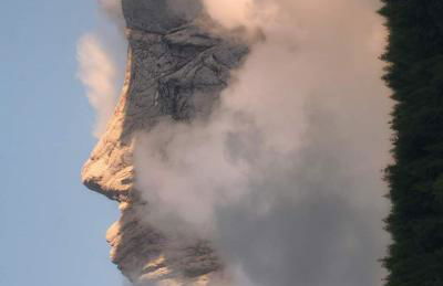 Flora house - Foto 41