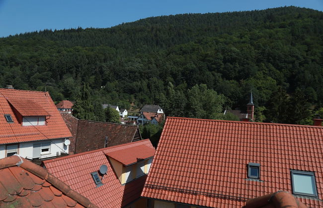 Ferienwohnungen Ries - Foto 16