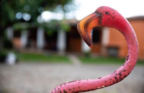 Appartamento Camisa - Il Gelso - Foto 32