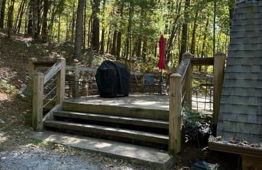 Bearly Behavin - Foto 31