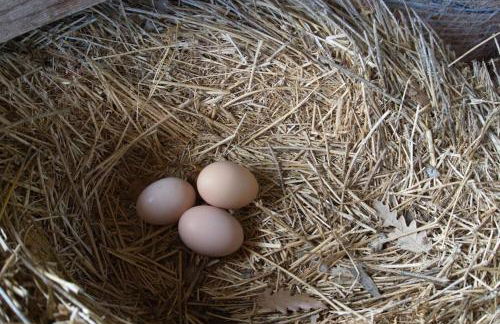 Casa Vacanze Podere San Giusto Volterra - Foto 56