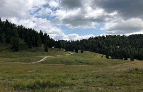 Appartamento Cologna - Photo 20