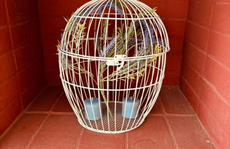 Dream House Karagounis - Foto 23