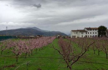 Casa Vacanze Principesca - Foto 41