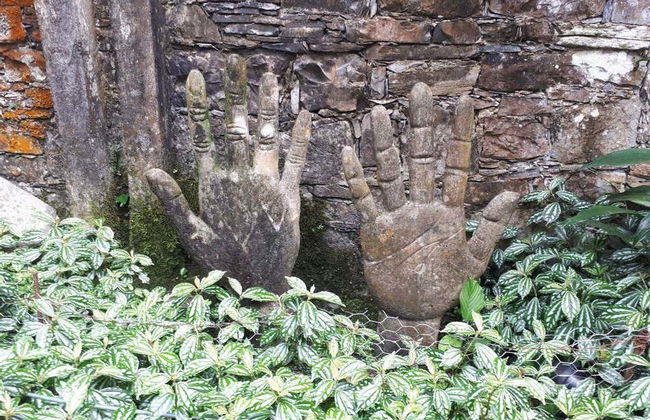 Tour di 4 giorni della Huasteca Potosina - Foto 2