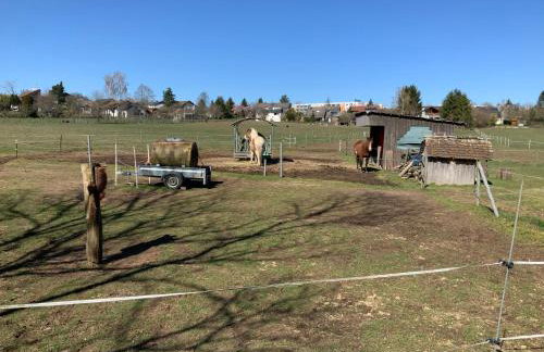 Hen-Coop Inn Appartement mit zwei Schlafzimmern & Netflix - Photo 36