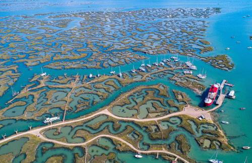 The Hexagon, wow what a location, views over the Essex marshes and sea - Foto 2