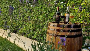 Perla No1 - Foto 3, Garden view