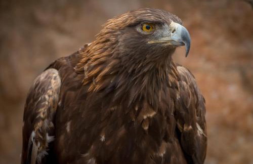 The Steading - Foto 36