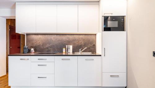 Chalet Ortles Apt ll - Photo 4