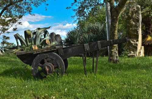 Apartment Agroturizam Radešić - Foto 7