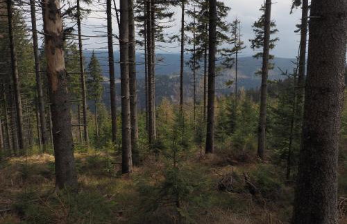 Apartament BOHO DOM Stronie Śląskie - Foto 22