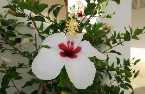 Hacienda Encanto del Rio - Foto 59