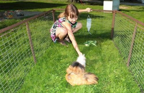 Mayer Burghöfe - Photo 29