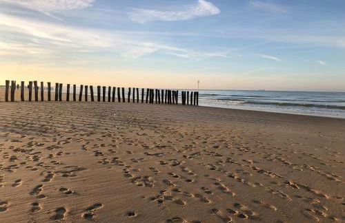 Grande maison familiale 300 m de la plage et du centre - Foto 33