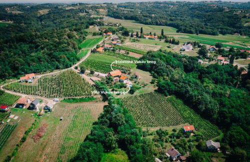 Villa Vukov Breg - Foto 41