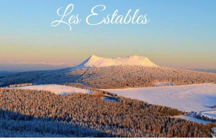 Independent F2 pool sauna garden - Foto 26