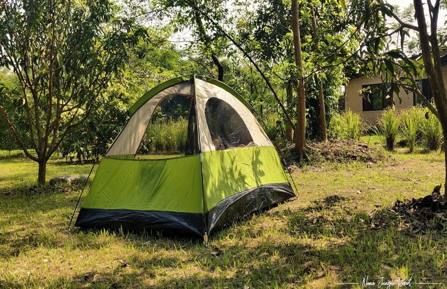 Nana Jungle Resort Near Chitwan National Park - Foto 75