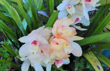 A Casa da Fonte - Foto 19