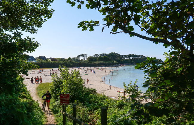 Les Hortensias - Photo 32