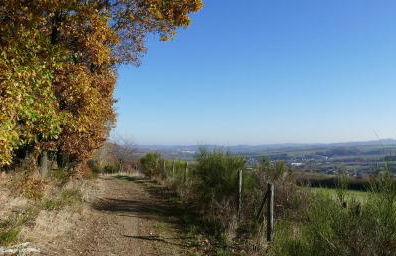Ferienwohnung Basche - Foto 41