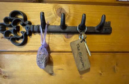 Blossom Cabin - Little log Cabin in Wales - Foto 24