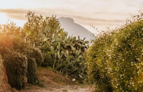 Terre Di Himera - Foto 127