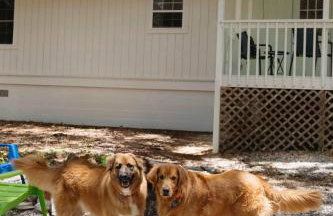 Sailors Delight - Foto 39