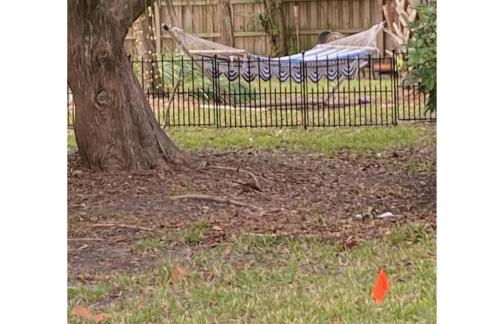 Island Charmer Davis Shores, Pets, Firepit - Foto 25