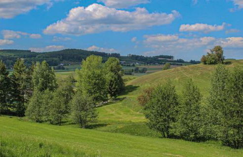 Pet Friendly Apartment - Foto 22