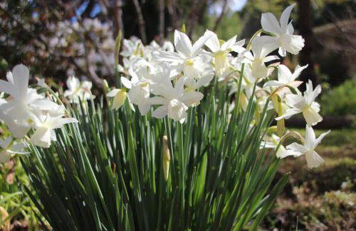 Bio Quinta do Pantano, Agro Turismo - Foto 45