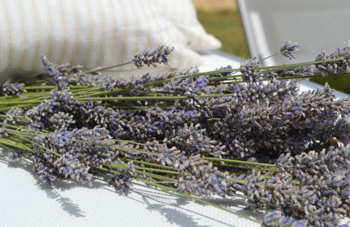 Profumi... - Foto 16