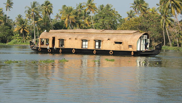 Passeio de Barco em Alleppey - Privado - Foto 2