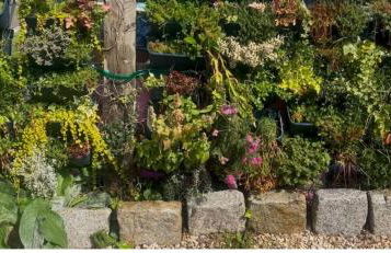 The Little Red Lion Thorpe - Foto 16