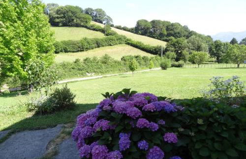 Ferme uhartea - Foto 18