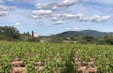 Villa en Provence Summer Vibes - Foto 24