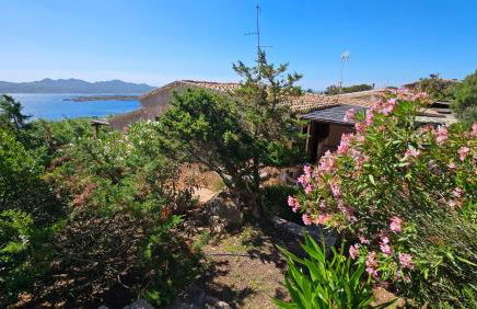LA TERRAZZA SUL MARE - panoramic cottage overlooking sea and Caprera island in a quiet residential area - 150 mt from the sea - Photo 36