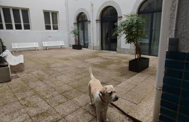 Appartement 4 chambres avec terrasse - Foto 16