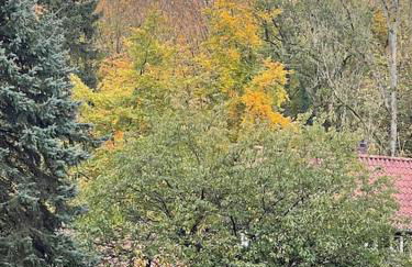 Ferienhaus am Teutoburger Wald - Foto 6