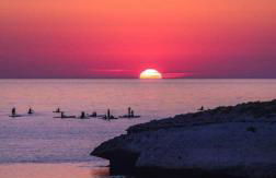 Ale house experience - Foto 51