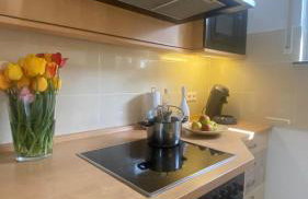 2 Schlafzimmer Apartment, Küche u Terrasse in Freiburg - Foto 19